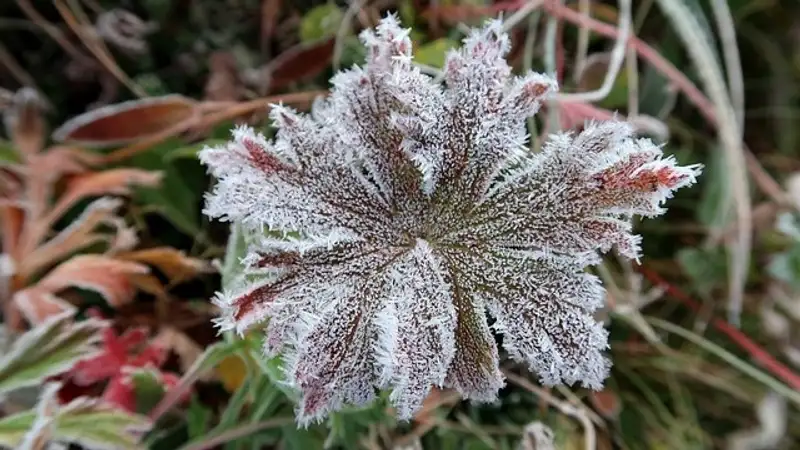 Снова град, заморозки и ливень ожидаются в ряде областей Казахстана