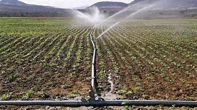 922 млн куб. м воды получит Казахстан из Узбекистана в поливной 2024 года, фото - Новости Zakon.kz от 13.05.2024 10:21