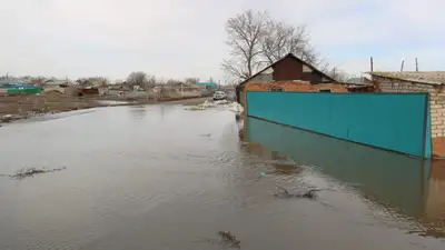 Свыше 119 тысяч казахстанцев эвакуировали из домов с начала паводков