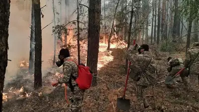 Лето будет жарким: в МЧС заявили о высоких рисках природных пожаров , фото - Новости Zakon.kz от 14.05.2024 11:15