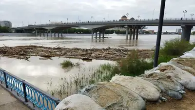 Поваленные деревья в Атырау во время паводка, паводок 2024