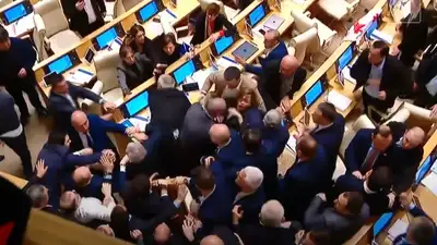 Депутаты подрались на заседании парламента Грузии, фото - Новости Zakon.kz от 14.05.2024 15:58