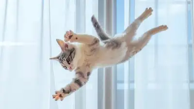 Конкурс, фото - Новости Zakon.kz от 16.05.2024 08:32