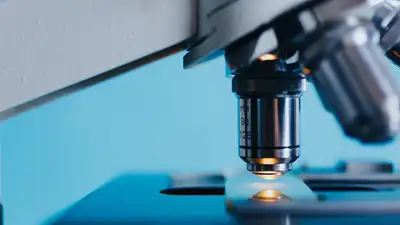 новая болезнь охватила Японию, фото - Новости Zakon.kz от 15.05.2024 22:32