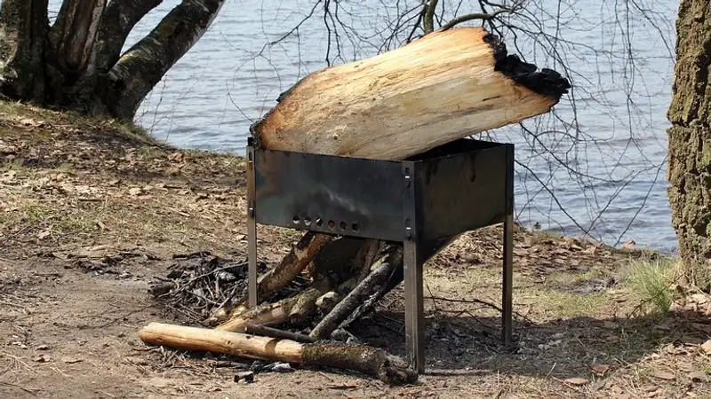 Можно ли разводить костер и разжигать мангал в лесу