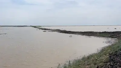 Уровень воды в реке Жайык превысил критические отметки в Атырау и селе Махамбет