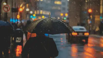 Дожди с грозами, град и туман: прогноз на 17 мая от синоптиков "Казгидромета", фото - Новости Zakon.kz от 16.05.2024 16:52