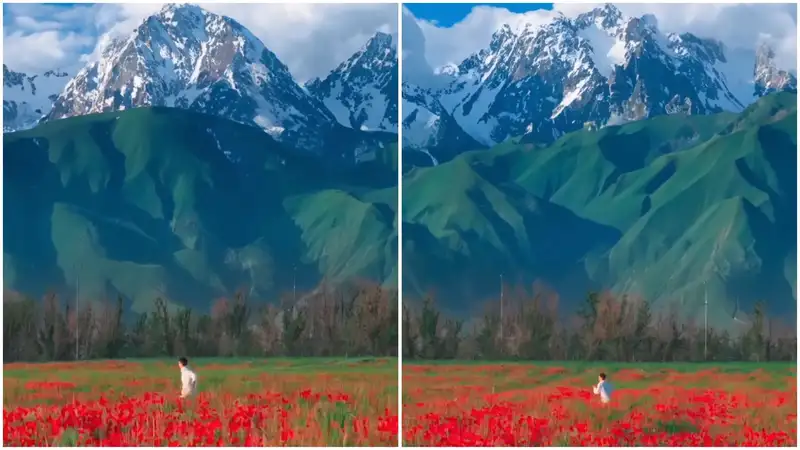 Это не аниме: невероятные кадры маковых полей Алматы удивили Казнет