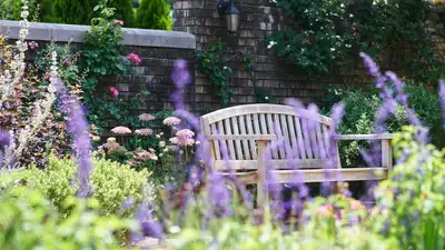 Ландшафтный дизайн: какие удобрения важны для роскошного цветника, фото - Новости Zakon.kz от 16.05.2024 13:18