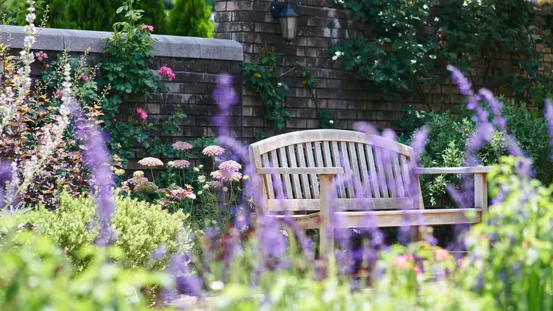 Ландшафтный дизайн: какие удобрения важны для роскошного цветника