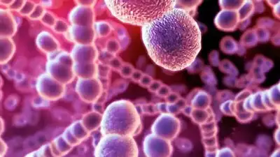 Врачи рассказали, чем опасна новая инфекция из Японии, фото - Новости Zakon.kz от 17.05.2024 08:50