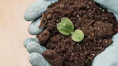 Расследования в области защиты растений будут проводить в Казахстане, фото - Новости Zakon.kz от 17.05.2024 12:58