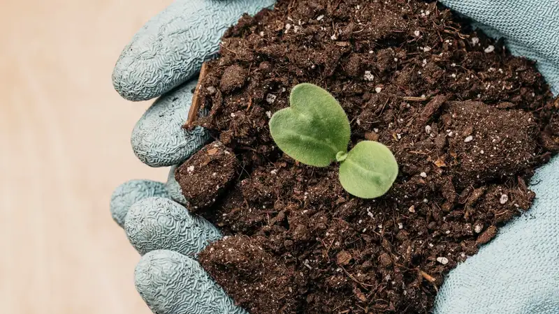 Расследования в области защиты растений будут проводить в Казахстане