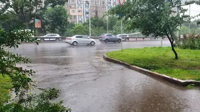 дожди в Алматы, фото - Новости Zakon.kz от 17.05.2024 18:10