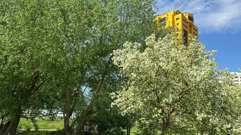 Астана, весна, май    , фото - Новости Zakon.kz от 18.05.2024 16:10