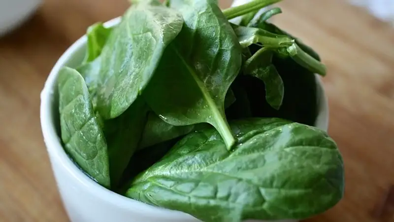 Какая зелень может привести к образованию камней в почках