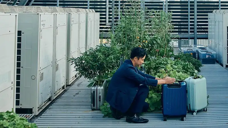 В японском отеле зелень и овощи для завтрака выращивают в чемоданах гостей