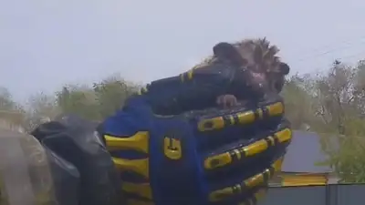 спасение ежика, фото - Новости Zakon.kz от 18.05.2024 19:10