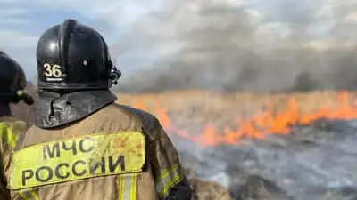 лесные пожары в России, фото - Новости Zakon.kz от 18.05.2024 23:07
