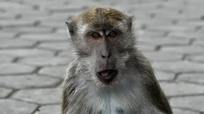 Россия, фото - Новости Zakon.kz от 19.05.2024 02:22