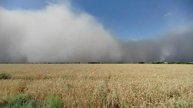 В каких регионах Казахстана на понедельник объявили штормовое предупреждение