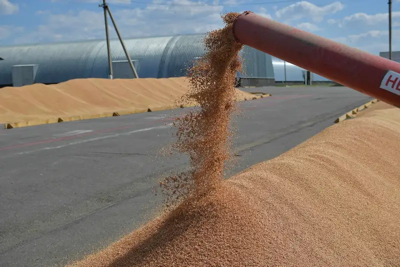 Узбекистан стал лидером по экспорту муки за счет переработки казахстанского зерна