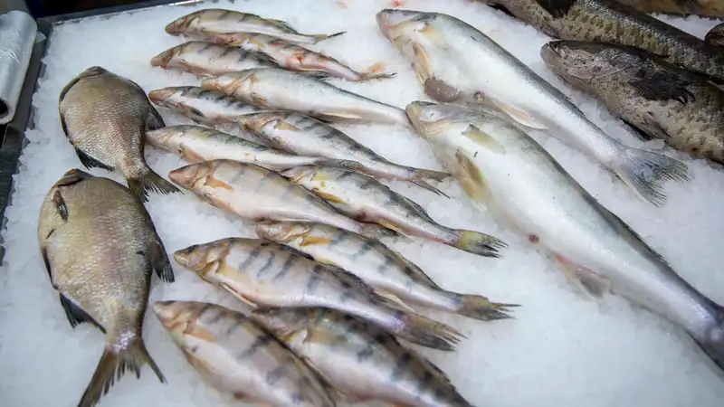 Вывозить из Казахстана отдельные виды рыбы запретили всеми видами транспорта