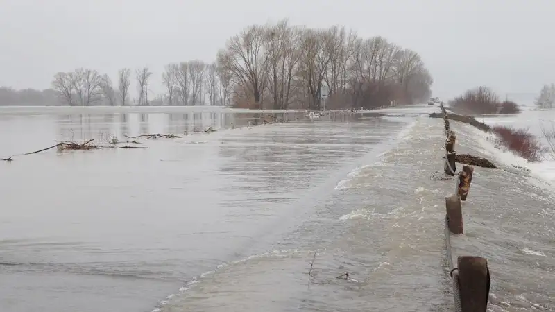 Пострадавшим от паводков аграриям возместят ущерб: утверждены правила