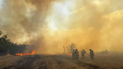 Тушение природных пожаров: разработан алгоритм взаимодействия организаций, фото - Новости Zakon.kz от 20.05.2024 17:15