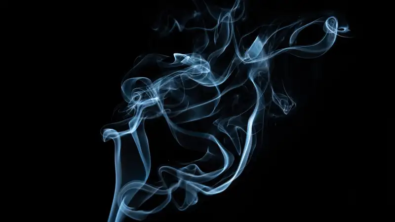 Запрет вейпов: можно ли ввозить для личного пользования