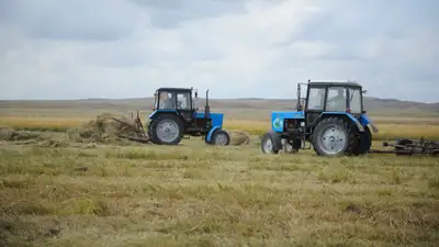 Сельскохозяйственная техника, сельхозтехника, сбор зерна, зерно, пшеница, фото - Новости Zakon.kz от 23.05.2024 16:30