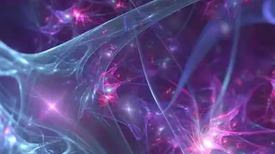 В России начали разработку нейроимплантов, позволяющих вернуть зрение незрячим, фото - Новости Zakon.kz от 21.05.2024 08:44