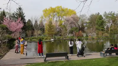 Ботанический сад Алматы заявил о критической ситуации