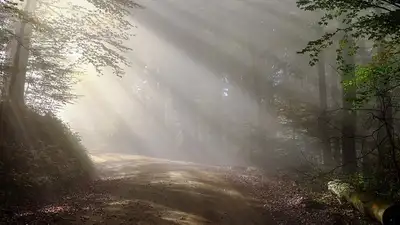 штормовое предупреждение, фото - Новости Zakon.kz от 21.05.2024 20:06