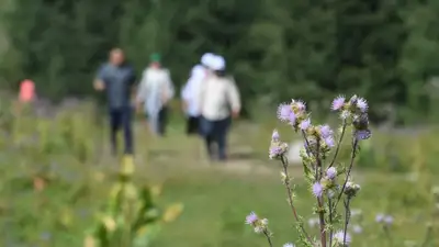 Казахстан поднялся на 14 позиций в мировом рейтинге туризма, фото - Новости Zakon.kz от 22.05.2024 11:54