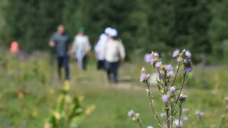 Казахстан поднялся на 14 позиций в мировом рейтинге туризма