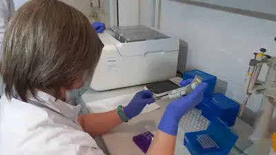 МВД, тест, наркотики , фото - Новости Zakon.kz от 23.05.2024 20:27