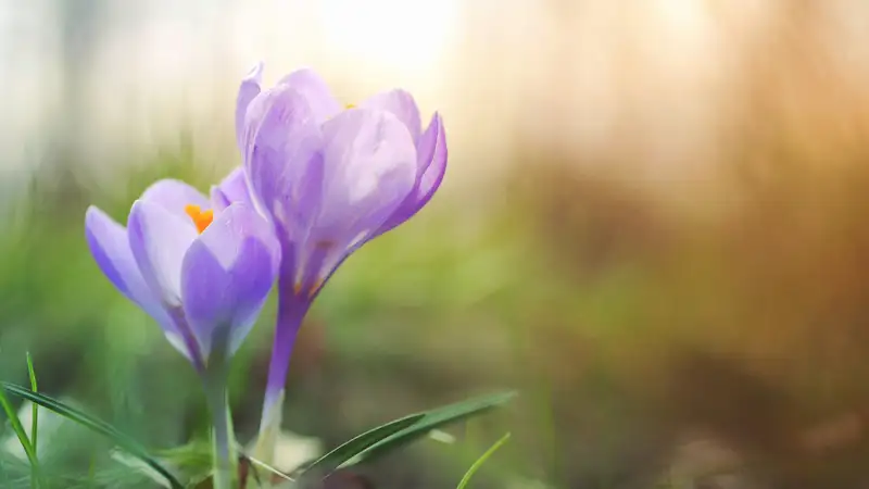 Синоптики рассказали о погоде в Казахстане на 24 мая