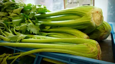 Не только для похудения: чем полезен и опасен &quot;король&quot; овощей, фото - Новости Zakon.kz от 24.05.2024 11:06