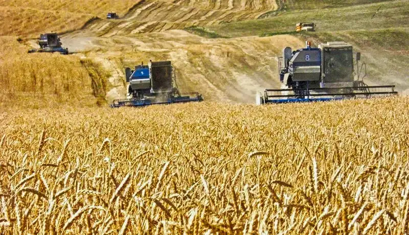 26 Мая – праздничный день для миллионеров, рабочих и химиков, фото - Новости Zakon.kz от 26.05.2024 11:00