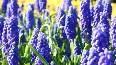 В каких городах РК ожидаются неблагоприятные метеоусловия 25 мая, фото - Новости Zakon.kz от 25.05.2024 02:20