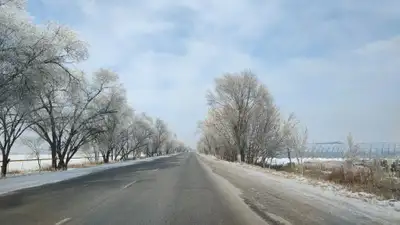 , фото - Новости Zakon.kz от 25.05.2024 13:23