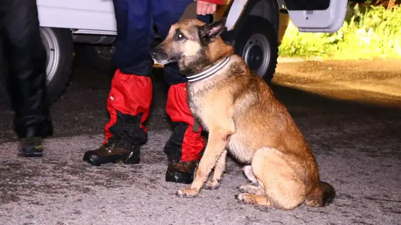 В горах Алматы спустя четыре часа поисков спасатели нашли двух молодых людей, фото - Новости Zakon.kz от 26.05.2024 03:50