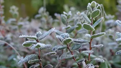 штормовое предупреждение, фото - Новости Zakon.kz от 27.05.2024 20:12