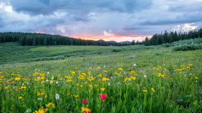 Синоптики Казахстана дали прогноз на 28 мая, фото - Новости Zakon.kz от 27.05.2024 17:40