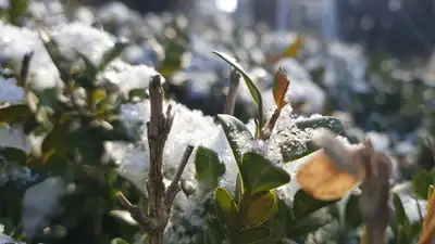 В Астане – снег, в Алматы и Шымкенте – без осадков: прогноз погоды на 28-30 мая, фото - Новости Zakon.kz от 27.05.2024 14:56