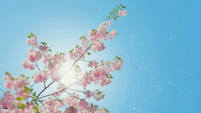 Обширный антициклон принесет солнечную погоду в Казахстан, фото - Новости Zakon.kz от 28.05.2024 17:20