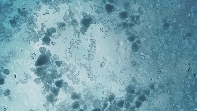 Ветер, град и заморозки: в Астане и 15 регионах объявлено штормовое предупреждение