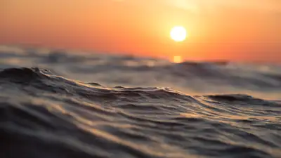 Жителям Алматы купаться разрешили, но не везде, фото - Новости Zakon.kz от 28.05.2024 13:06