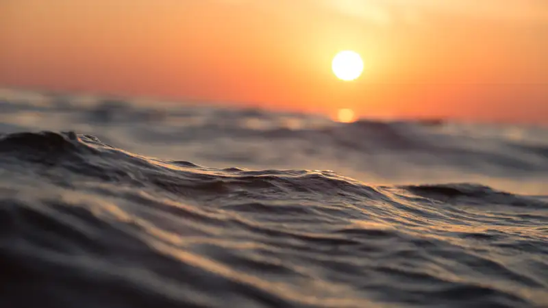 Жителям Алматы купаться разрешили, но не везде